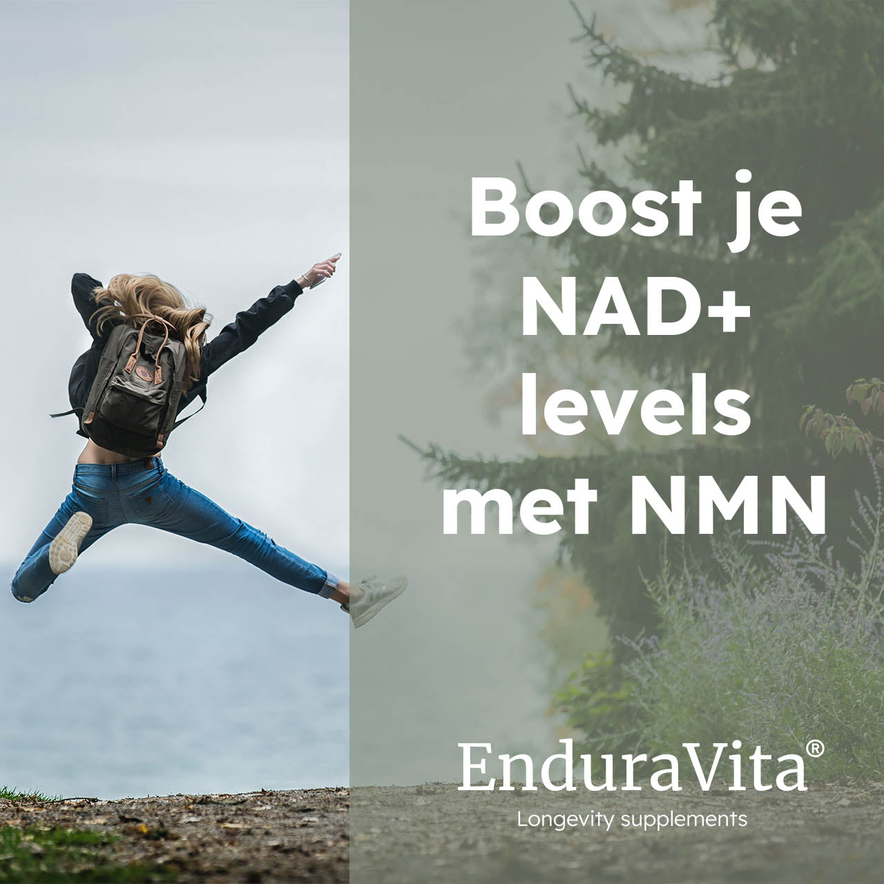 Capsules NMN 60x250mg