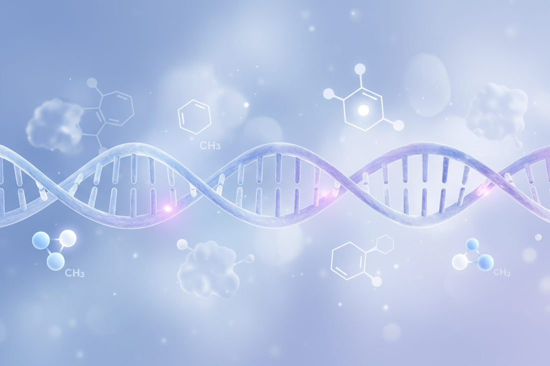 Trimethylglycine (Betaïne): Mechanismen, werking en potentiële voordelen voor gezondheid en lichaamssamenstelling