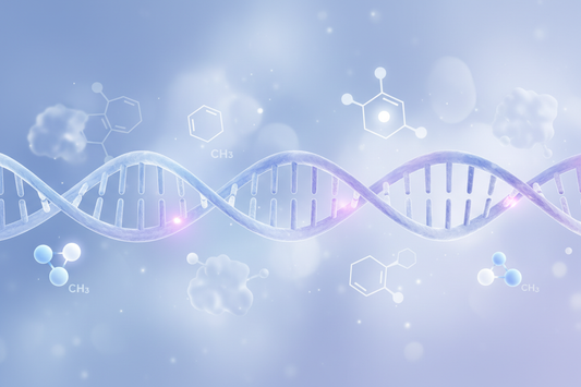 Trimethylglycine (Betaïne): Mechanismen, werking en potentiële voordelen voor gezondheid en lichaamssamenstelling